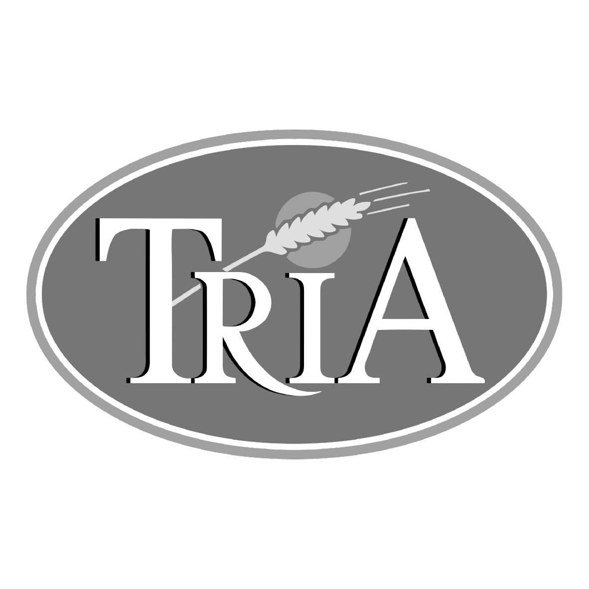 Tria interpretation translation morocco interprétation traduction maroc